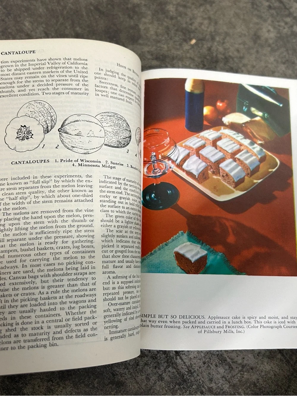 The Wise Encyclopedia of Cookery - Classic Recipe Collection Hardback Cookbook